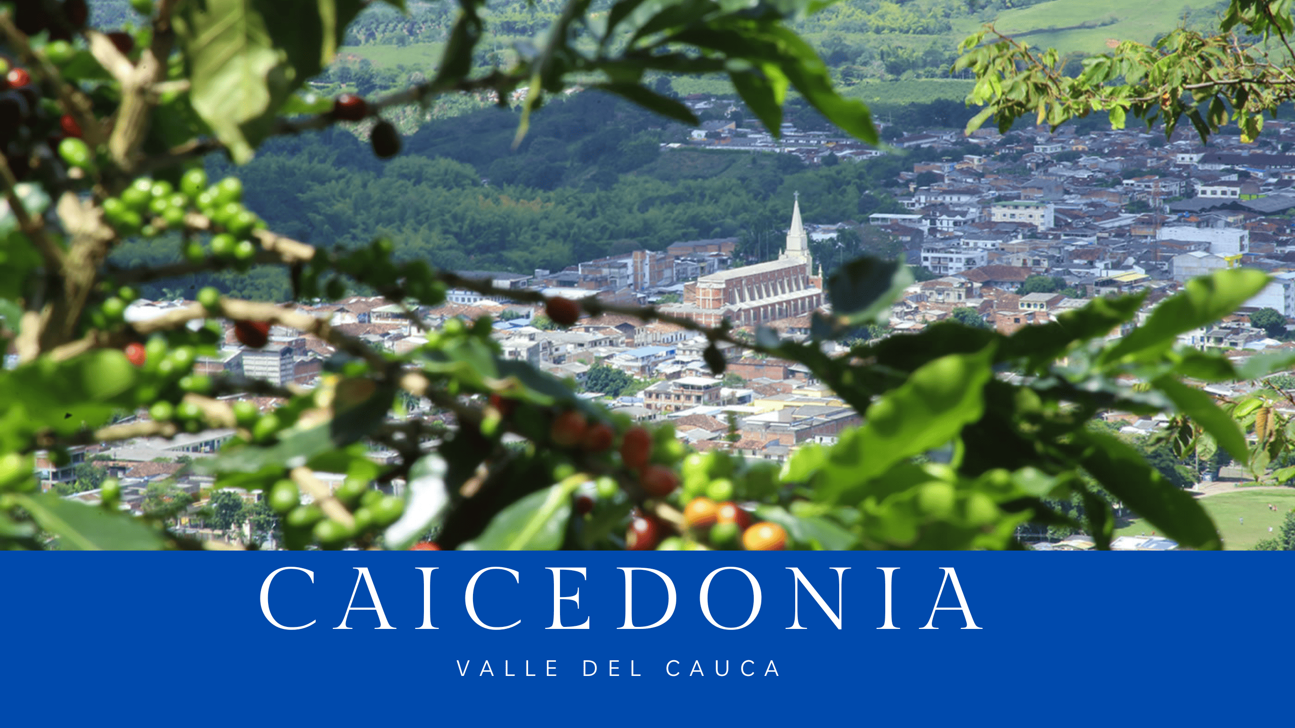 conversatorios_ciudadanos/conversatorio-ciudadano-caicedonia